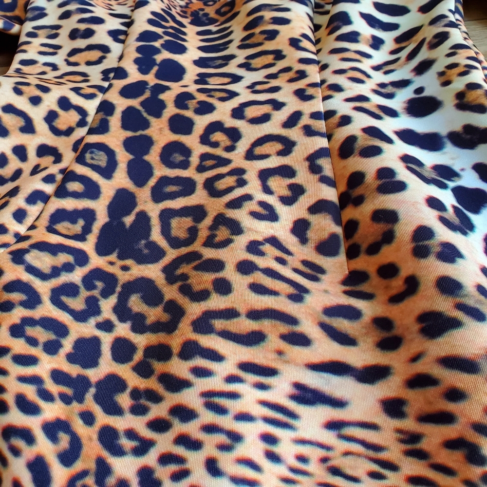 Clove Long Sleeve Mini Dress - Picture 2 of 5